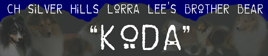 Koda's Banner