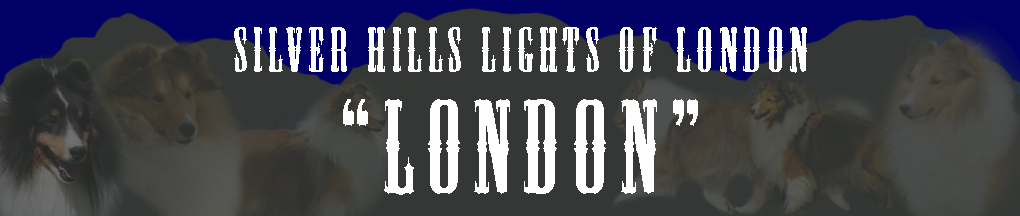 London's Banner