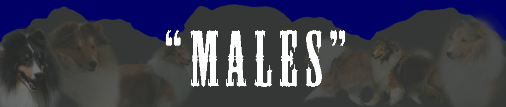 Males Banner