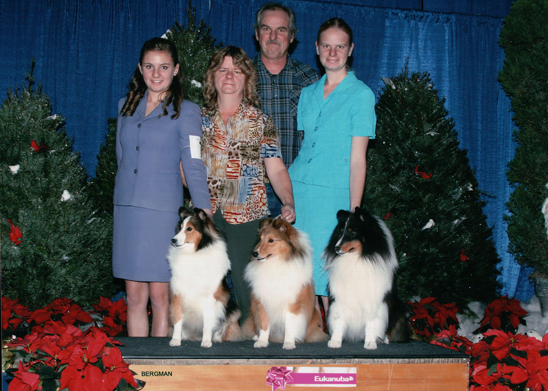 Silver Hills Shelties Family